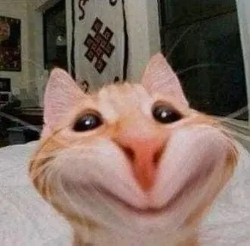 Meme biểu cảm cười bật hơi phản xạ tự nhiên dễ nhận diện