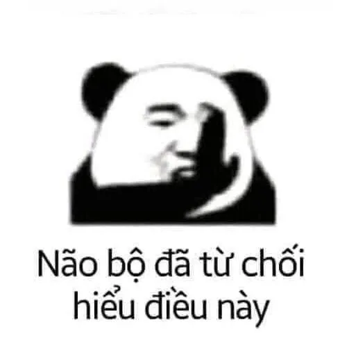 Ảnh meme vui gấu trúc vô tri nhìn đời vô định.