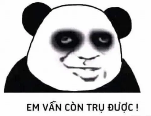 Hình troll gấu trúc hết tiền ôm ví trông tuyệt vọng.