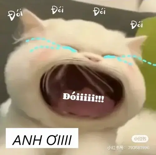 Ảnh chế âm kêu mềm mô tả cái gọi nhẹ như sợ làm phiền