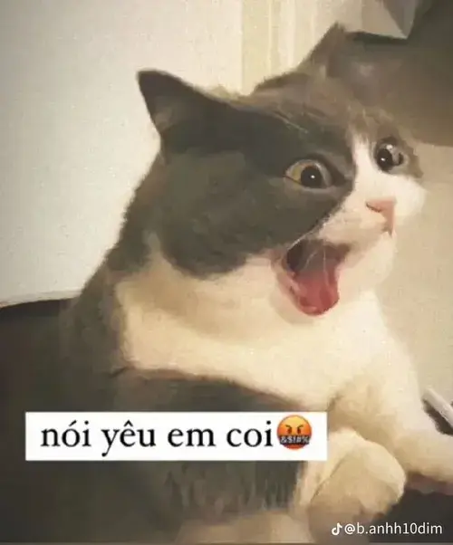 Hình chế meme vui nũng nịu gợi cảnh thú cưng muốn kéo bạn lại gần