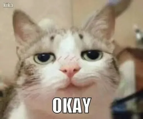 Khoảnh khắc mặt chậm chậm soi nêu mí mắt hẹp cong qua sắc thái và quan sát lâu