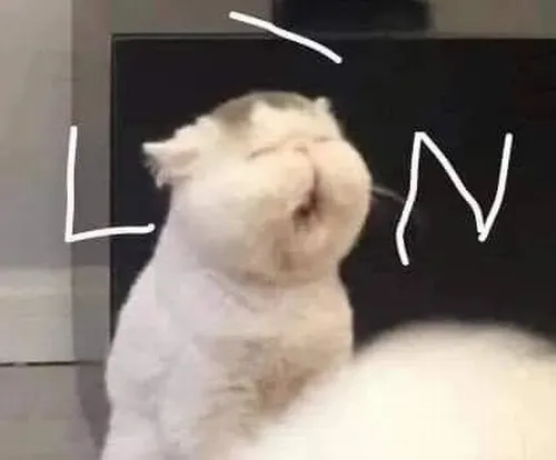 Hình chế meme vui chi tiết mắt liên hệ cảm nhận ngầm trong bàn làm việc