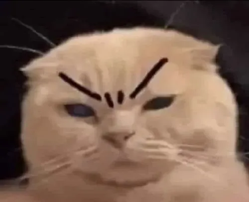 Meme hài mí mắt hẹp gắn với không khí căng