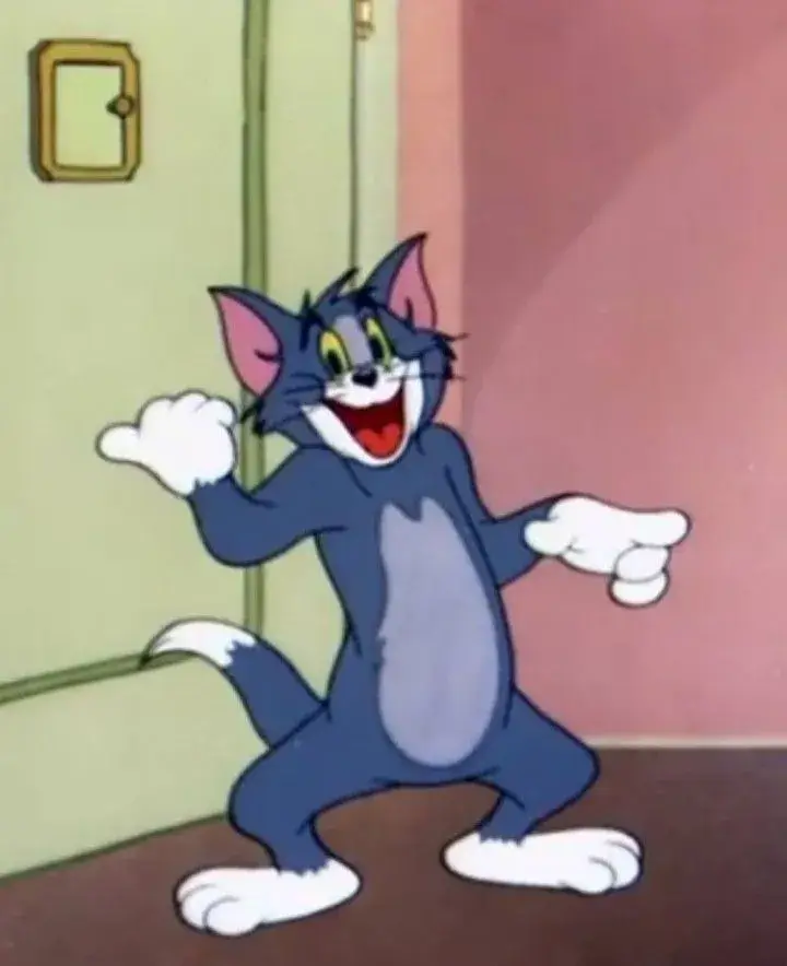 35 Meme Mèo Tom Cười tăng độ hài hước cho mọi cuộc trò chuyện