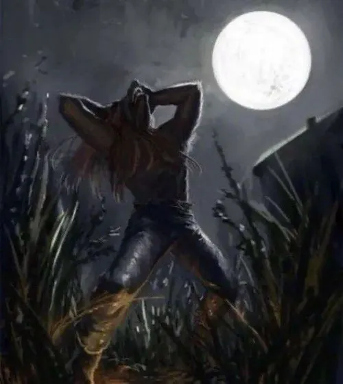 Ảnh vui kẻ thủ lĩnh soi dẫn dắt bầy đàn trong khoảng đêm