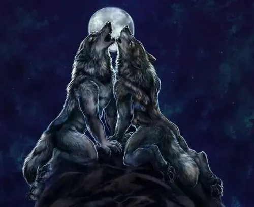 Khi cần nét uy nghi nhưng cô tịch, meme sói đầu đàn nói hộ lòng