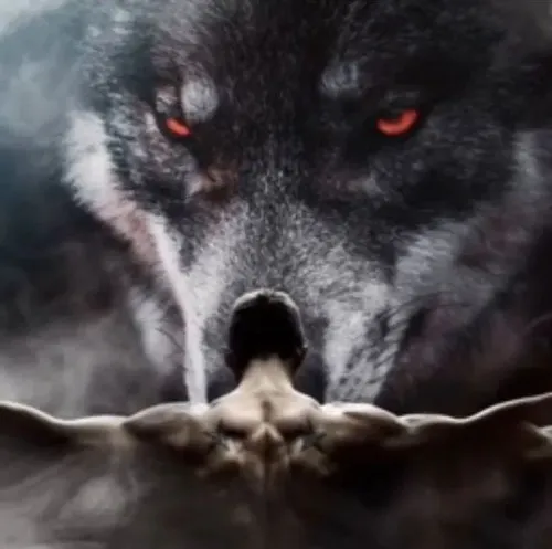 Meme hài sói đầu đàn nêu ánh mắt sắc lạnh giữa lãnh địa tịch mịch