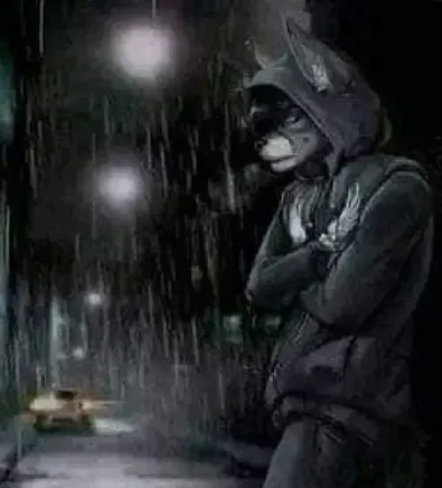 Meme chế sói đầu đàn dựng bộ lông bạc xám giữa hơi thở sương đêm