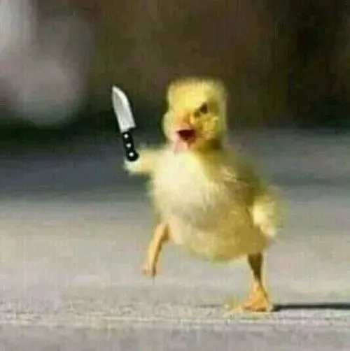 Sóc nâu dựng tai vì quá hoảng hốt trước tiếng động.