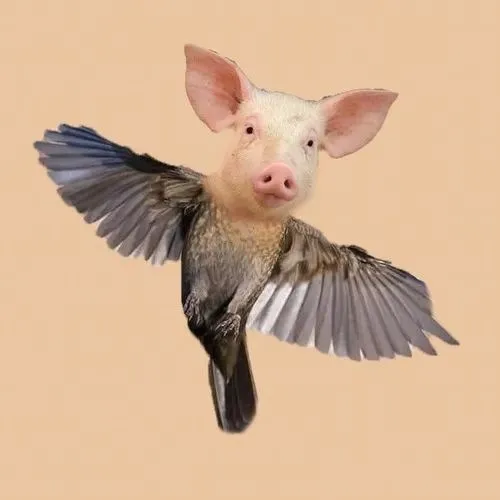 Mèo mun lim dim trong trạng thái mệt mỏi kéo lê.