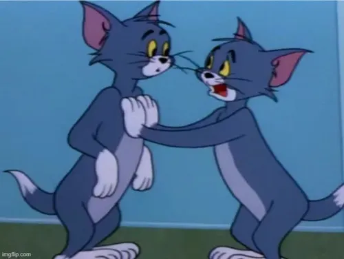 Ảnh chế mèo xám gợi sự căng thẳng đối đầu trước pha giăng bẫy