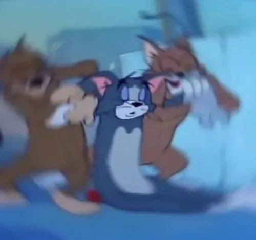 Hình troll mèo biểu cảm mô tả dáng đứng đơ cứng sau cú sốc thị giác