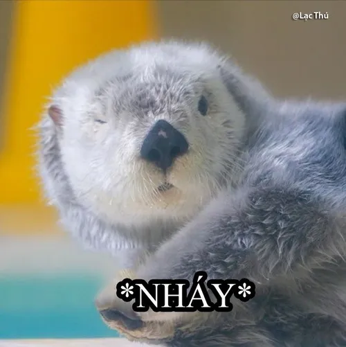 Ảnh hài thú ăn thịt nhỏ phác họa lông mềm rung nhẹ trong gió