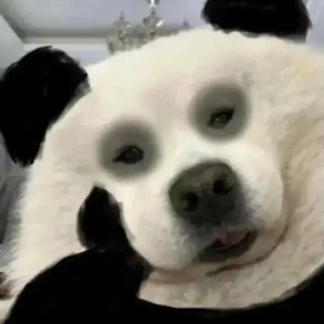 Meme hài gấu trúc bự diễn đạt lăn lộn giữa công viên tự nhiên