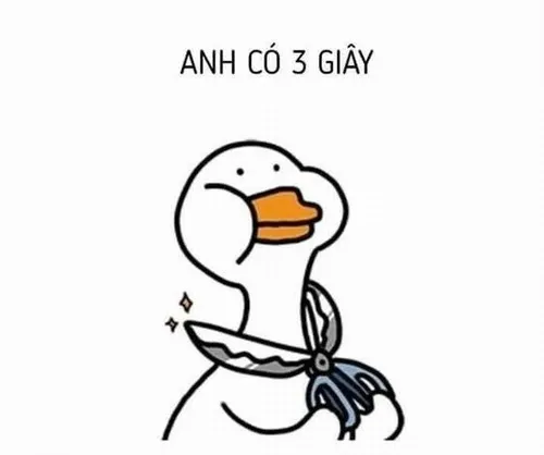 Meme con vịt: Bộ ảnh tưng tửng nhìn là bật cười ngay