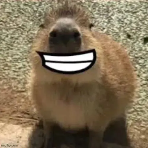 102 Ảnh Avatar Capybara Vô Tri hài hước vui nhộn với gương mặt chill ngơ ngác đặc trưng