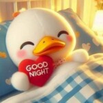 Meme ảnh nến lung linh chúc ngủ ngon Meme ảnh nến lung linh chúc ngủ ngon